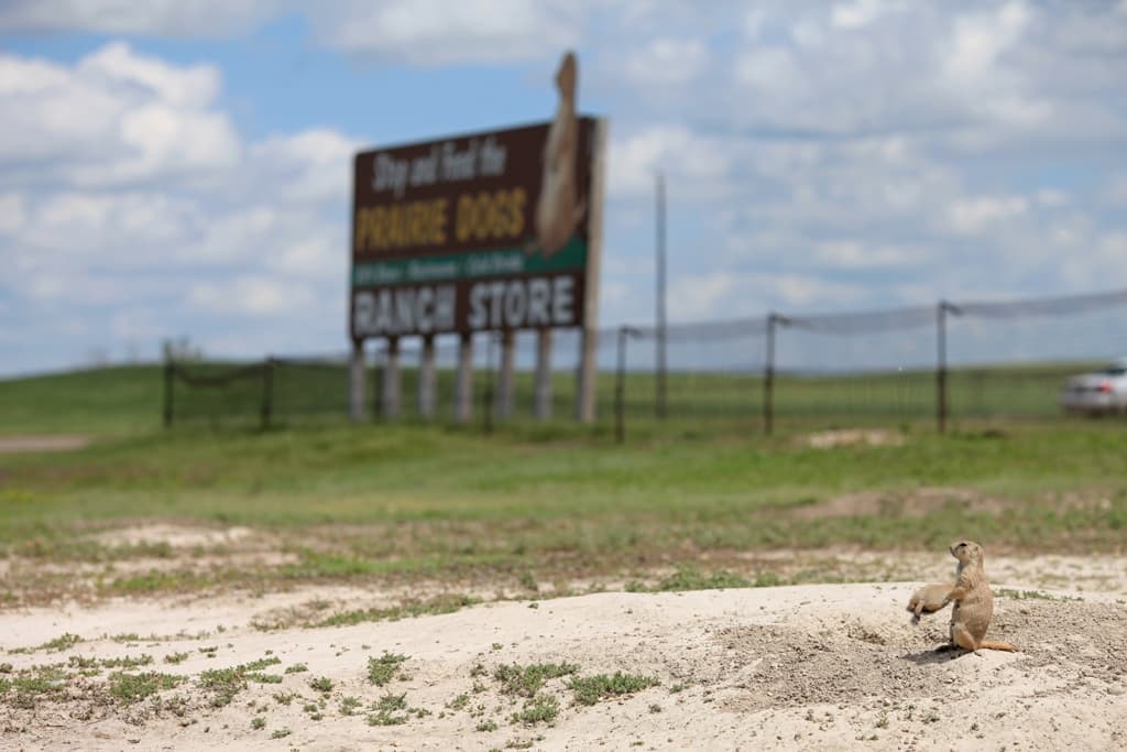Prairie Dog Town